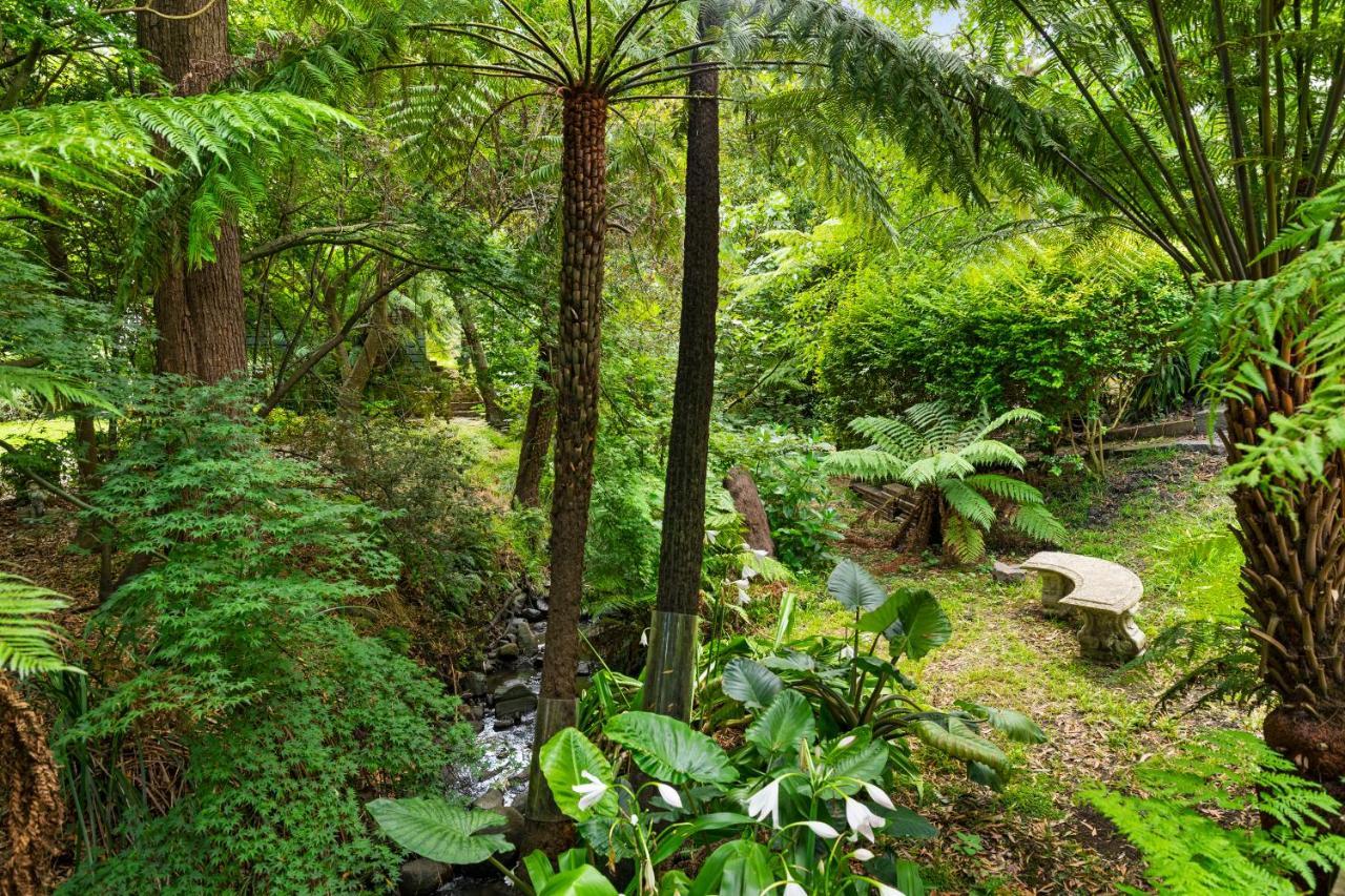 Вилла Paddys Creek Retreat Upwey Экстерьер фото