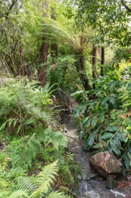 Вилла Paddys Creek Retreat Upwey Экстерьер фото